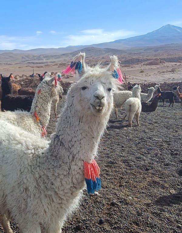 Salar d&rsquo;Uyuni et Sud Lipez